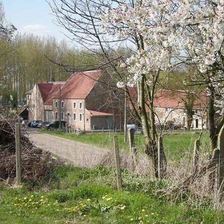 De Verborgen Parel B&B Борглон Екстериор снимка