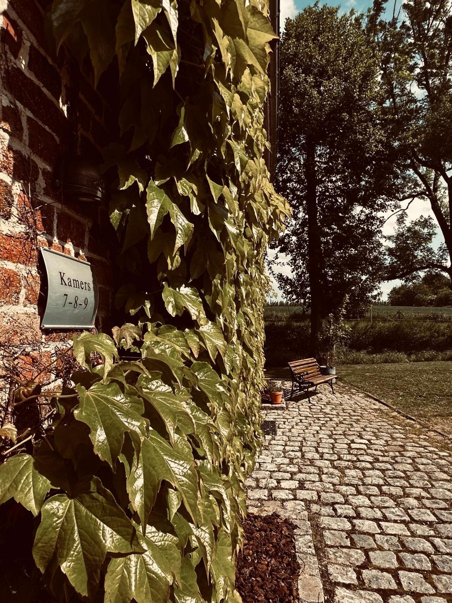 De Verborgen Parel B&B Борглон Екстериор снимка