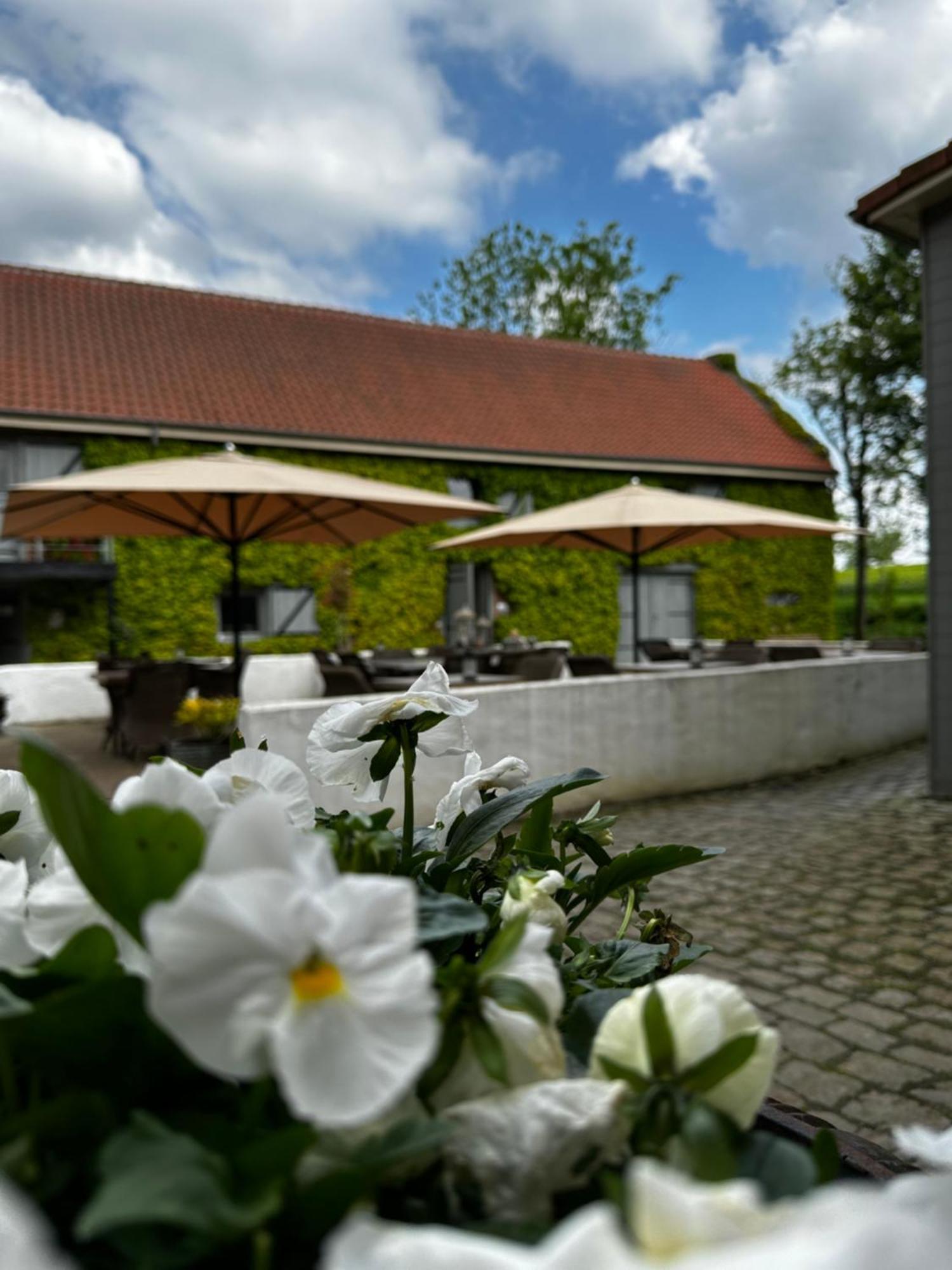 De Verborgen Parel B&B Борглон Екстериор снимка